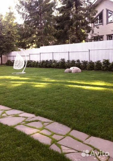 Рулонный газон