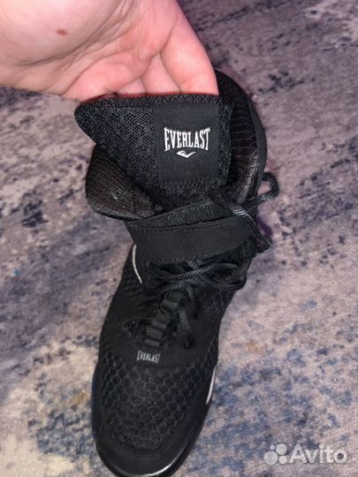 Боксерки everlast