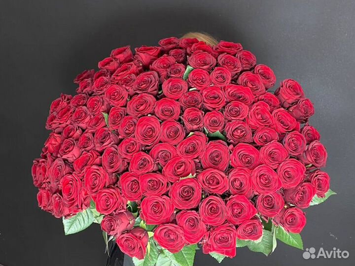 101 Роза Красные розы букет роз Цветы