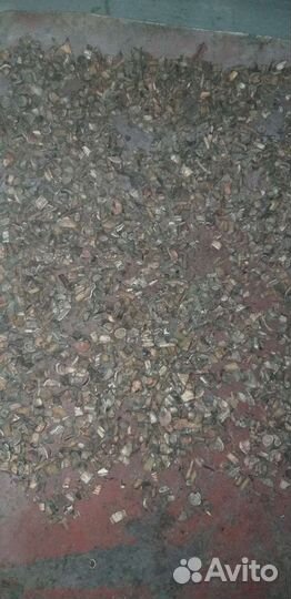 Корень девясила