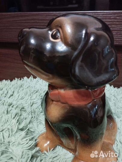 Копилка собака