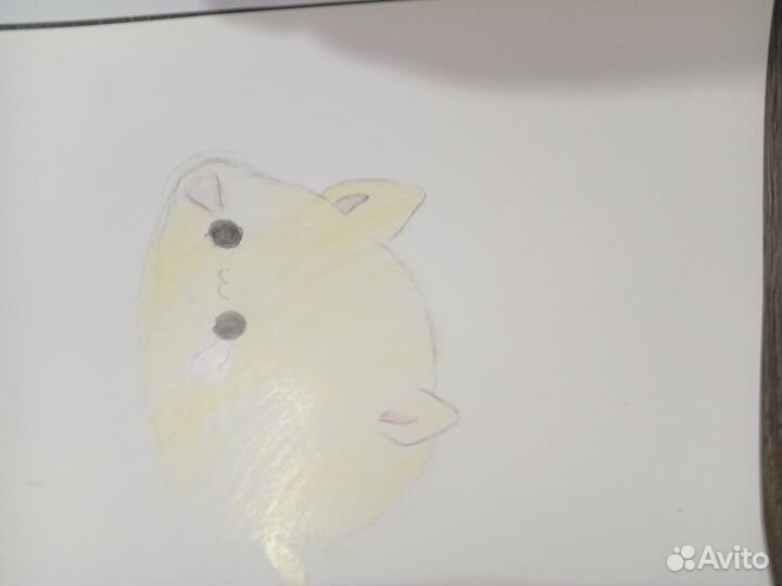 Лепёшка котик на бумаге специальный 30х40