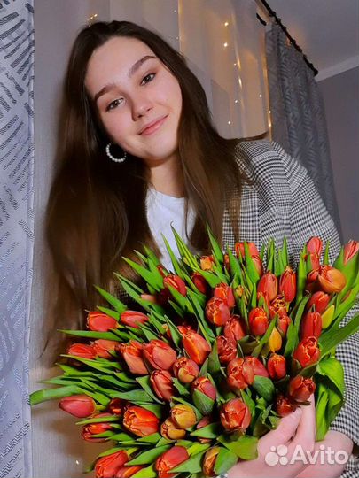 Репетитор по математике и информатике