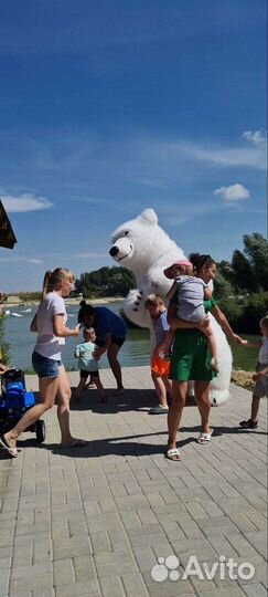 Белый мишка поздравление. Аниматор Медведь