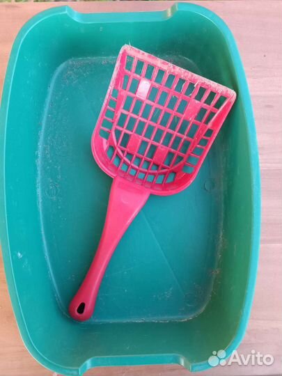 Лоток для котят