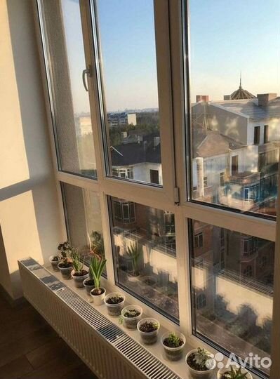 Пластиковые (пвх) окна