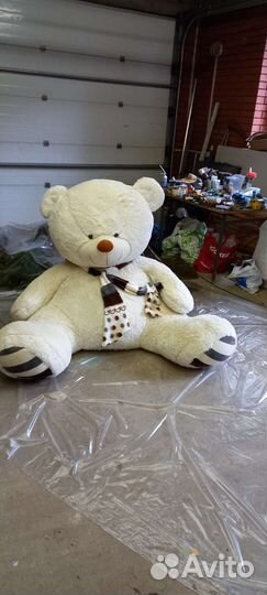 Продам медведя