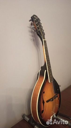 Мандолина Washburn с футляром