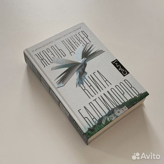 Книга балтиморов Жоэль Диккер