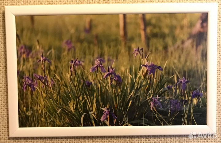 Фото картины