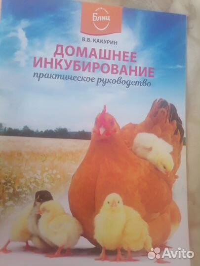 Домашний инкубатор