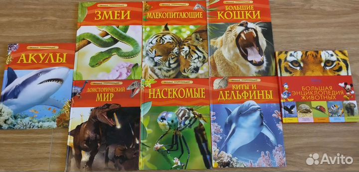 Детские книги энциклопедии