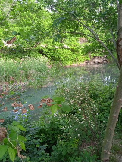 Комната 12 м², 1/1 эт.