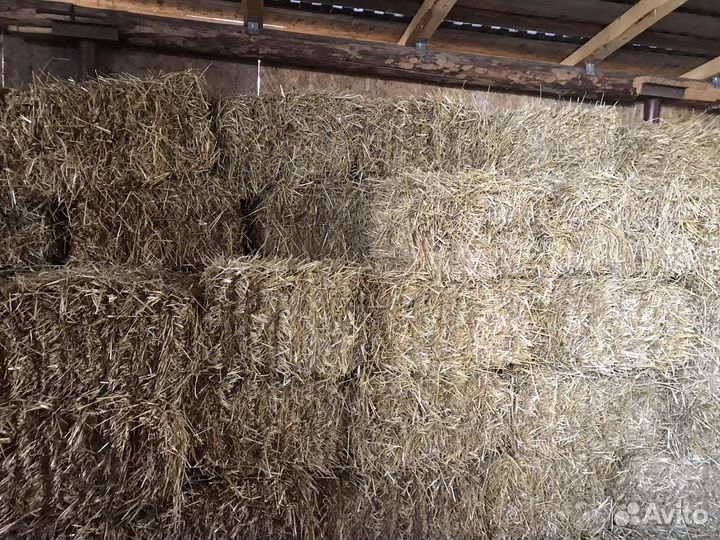Солома в тюках