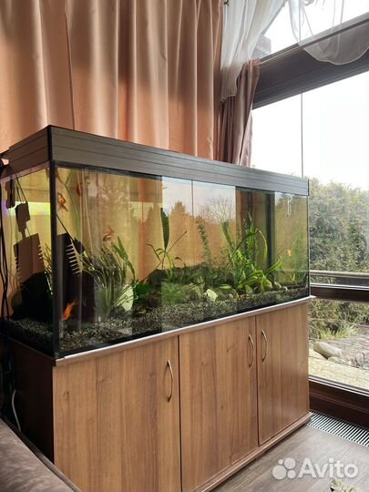 Аквариум 400 л. по 