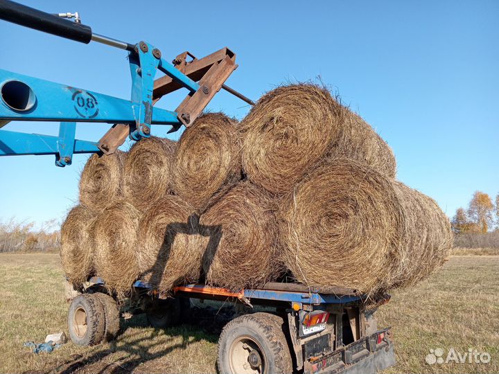 Сено 2024года заготовки возможна доставка