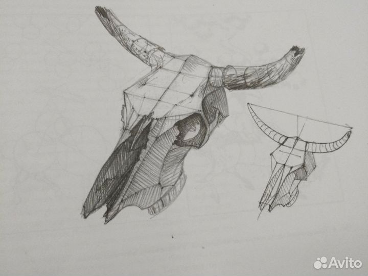 Книга по рисовпнию