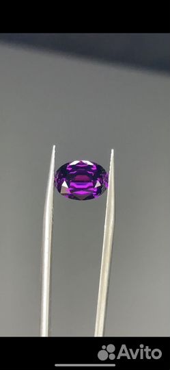 Пурпурный гранат