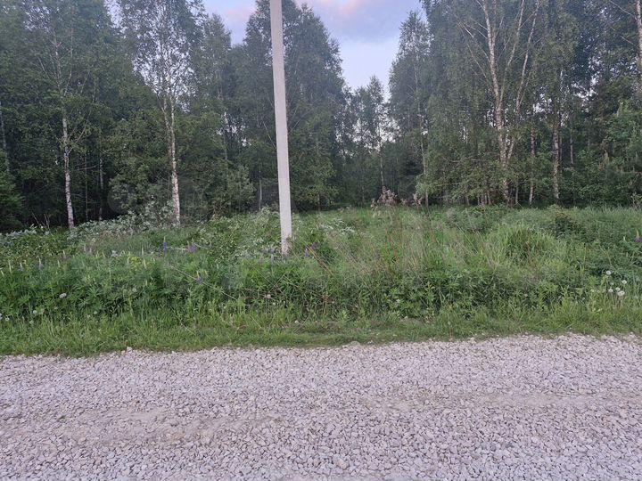 Участок 11,5 сот. (ИЖС)