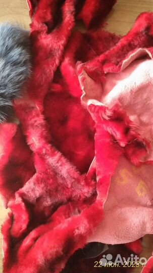 Остатки шкурки лисы