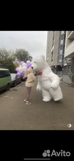 Ростовая кукла панда кунфу белый мишка