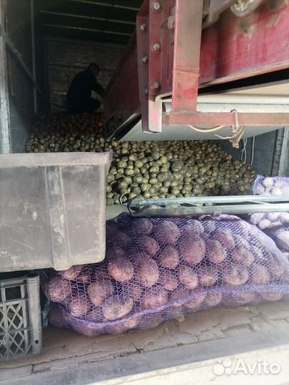 Продам картофель Домашний вкусный. Излишки