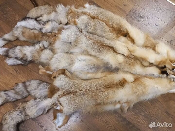 Шкуры лисы