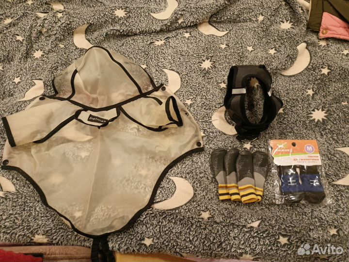 Дождевик, шлейка и 2 комплекта носков