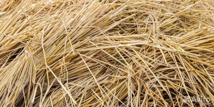 Солома в мешках