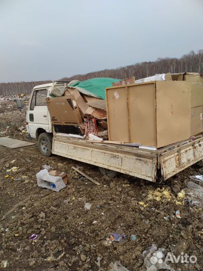 Вынос вывоз мусора:Строительный, бытовой, гаражный