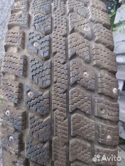 Forward Professional 156 185/75 R16C