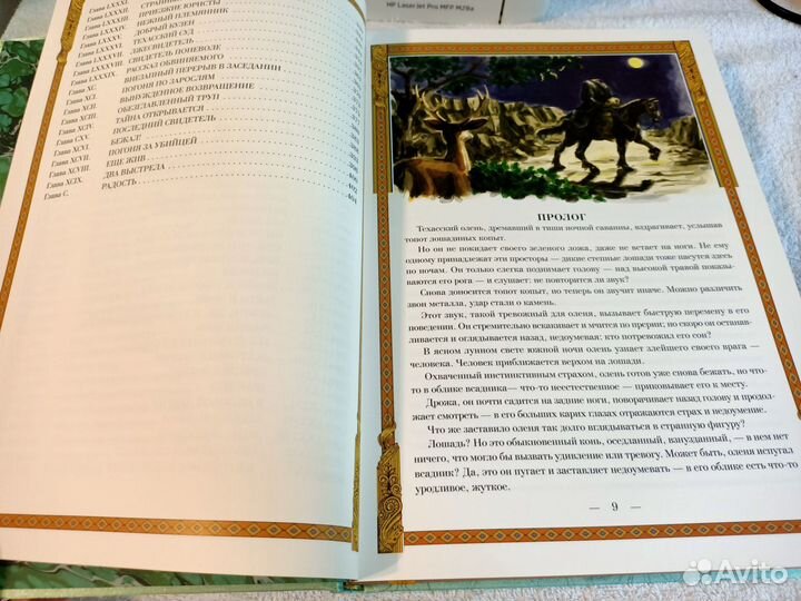 Всадник без головы. Томас Майн Рид. Верже