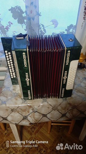 Гармонь нарач 3