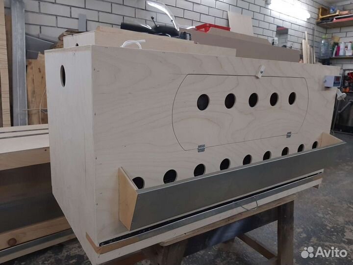 Брудер для цыплят