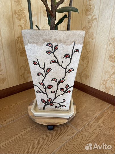 Фикус каучуконосный большой 160 см