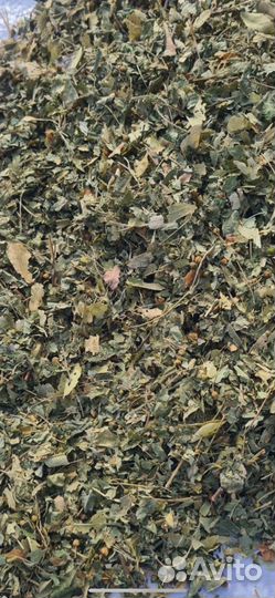 Липа цвет с листом