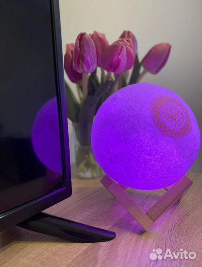 Лампа читающий каран