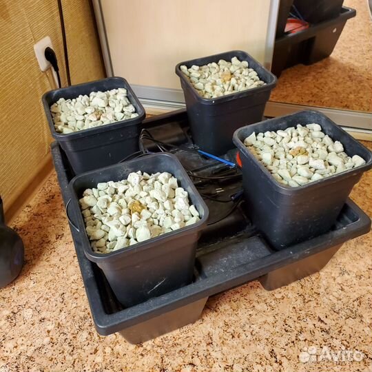 Wilma small 4 pot 6L Гидропонная система