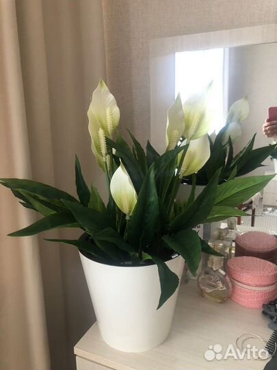 Искусственные растения