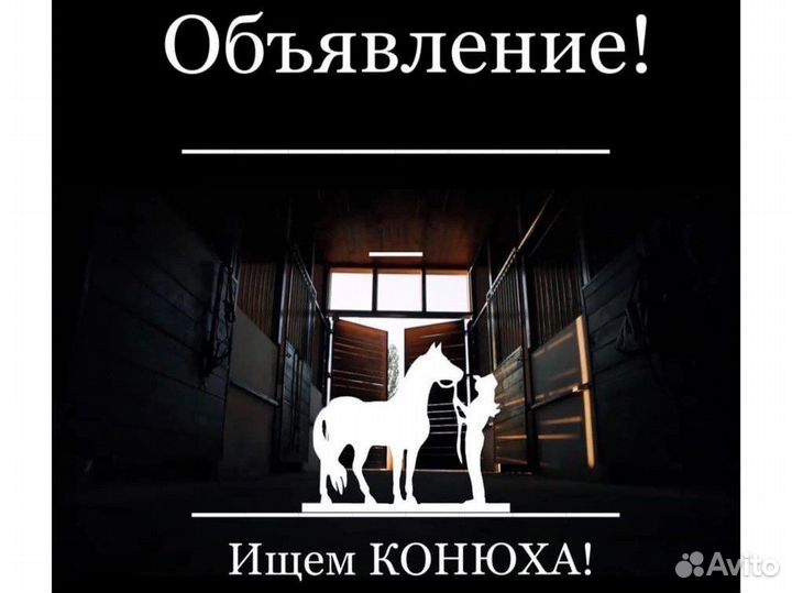Ищем конюха