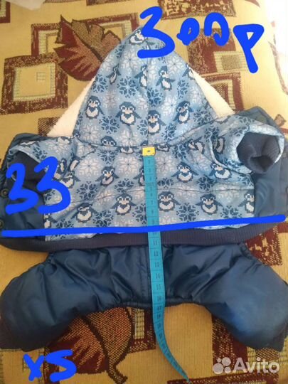 Вещи для собак