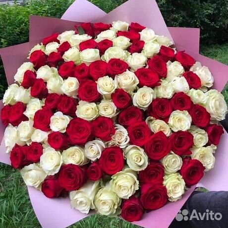 Розы оптом от 15шт. 25,51,101 роза оптом. Кемерово