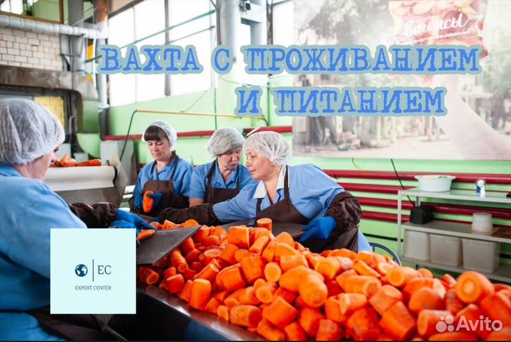 Вахта в Краснодарском Крае (проживание и питание)