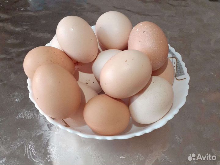 Домашние куриные яйца
