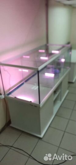 Аквариум 500 для торговли живыми раками, трёх сек