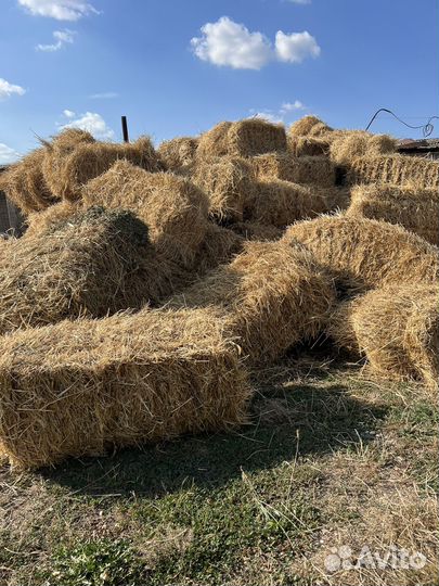 Солома из проса