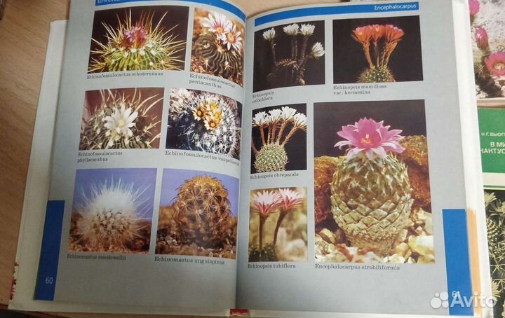 Книги цветоводство, кактусы