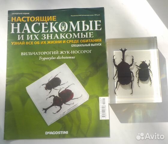 Форум насекомых отзывы. Коллекция насекомые и их знакомые. Настоящие насекомые. Настоящие насекомые и ко ДЕАГОСТИНИ. Сколько выпусков насекомых и их знакомые.