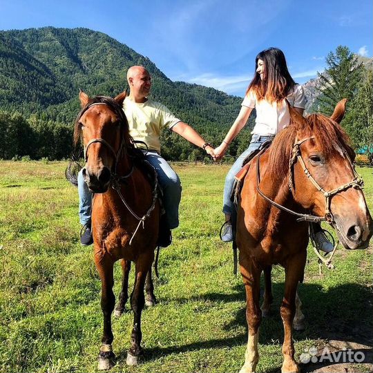 Конные прогулки