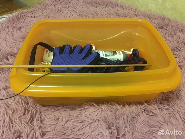 Все для кошек